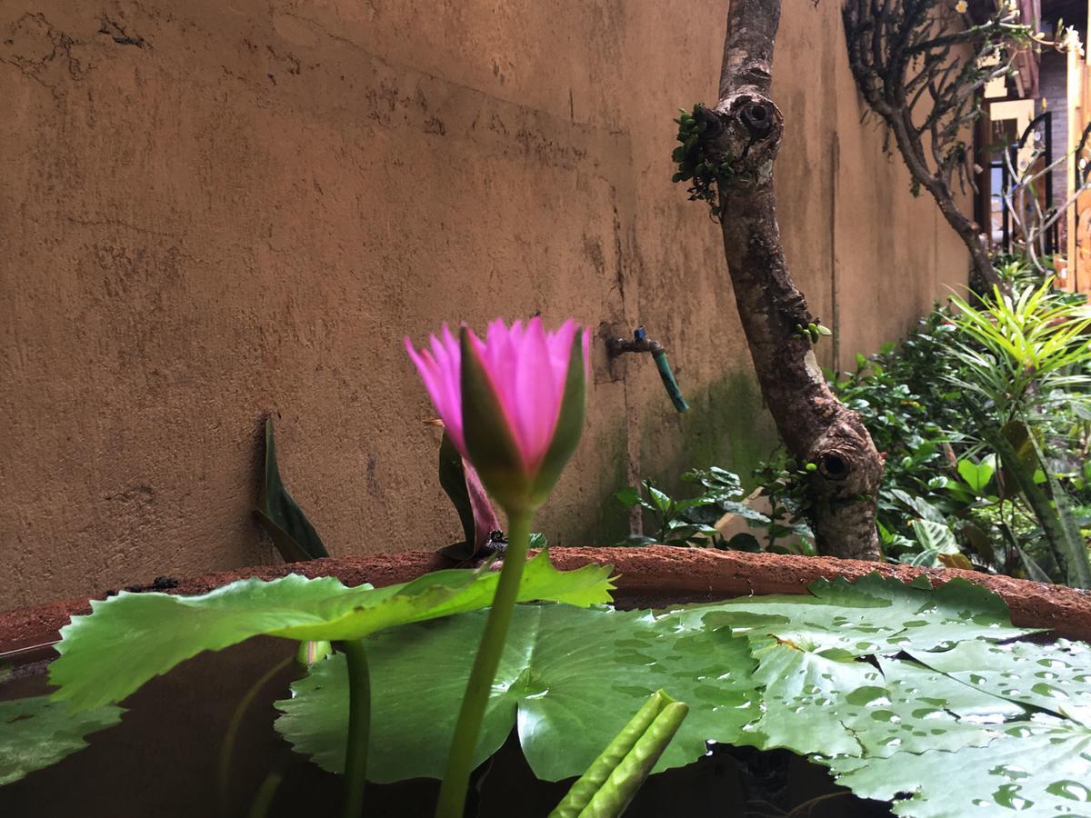 Bulan Bali Homestay Ubud Exteriör bild