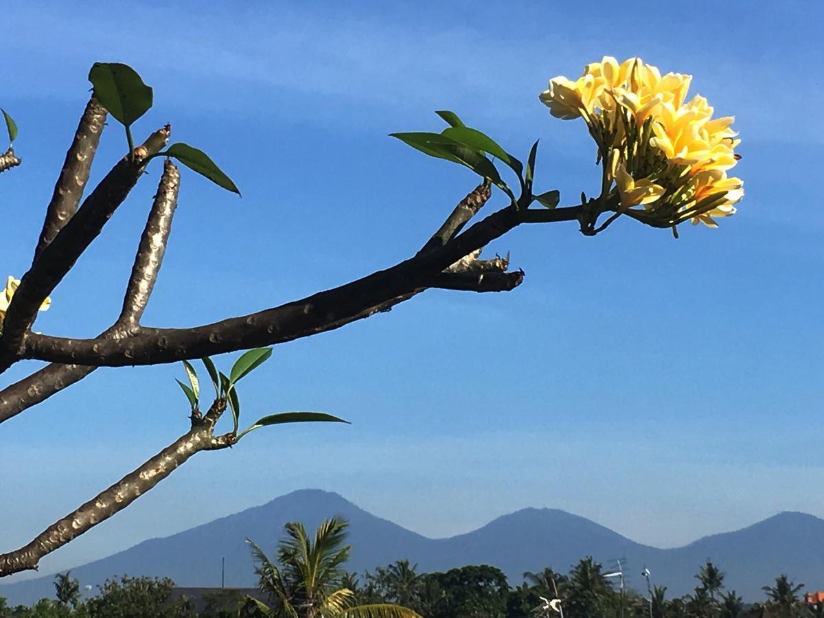 Bulan Bali Homestay Ubud Exteriör bild